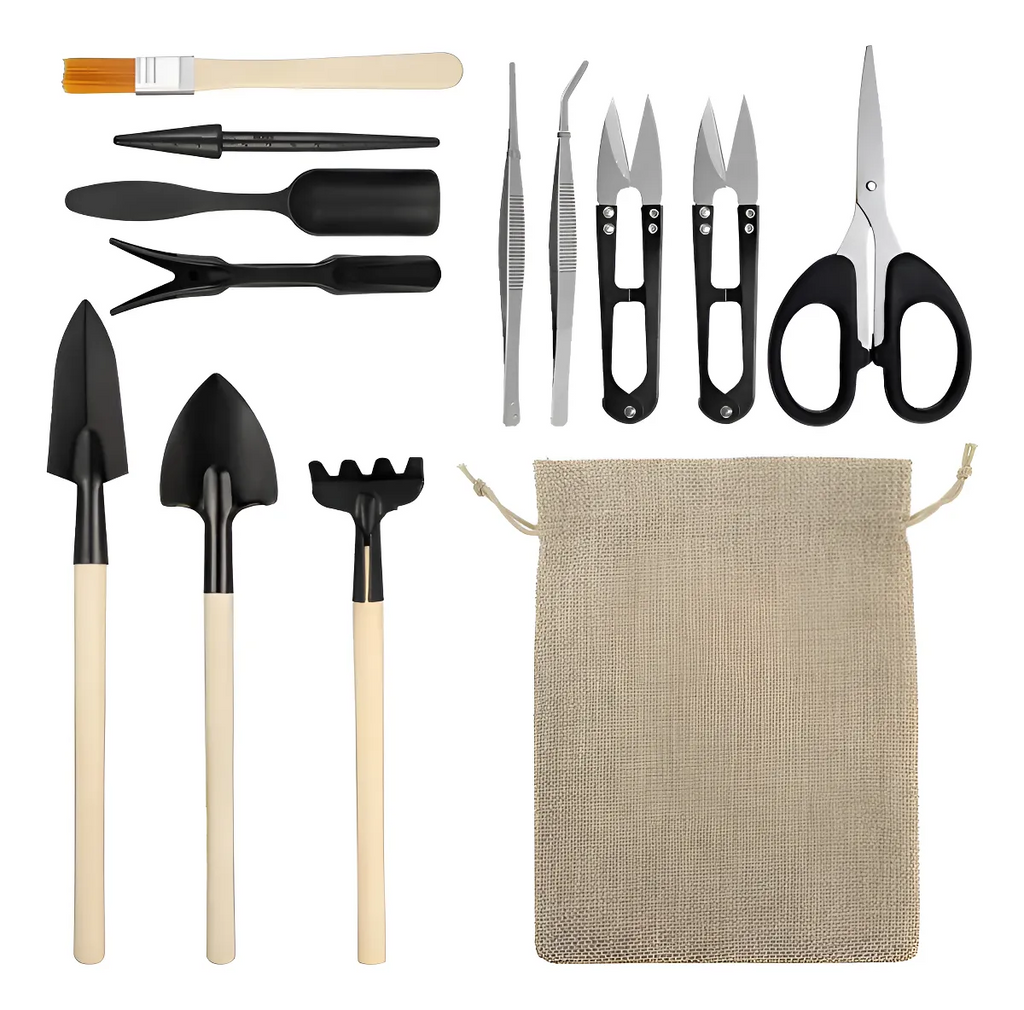 Kit Ferramentas Mini Para Jardinagem Suculenta Cactos Bonsai