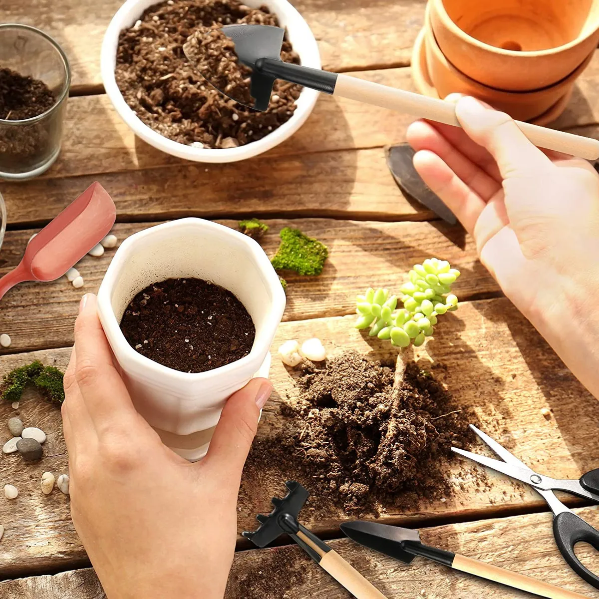 Kit Ferramentas Mini Para Jardinagem Suculenta Cactos Bonsai