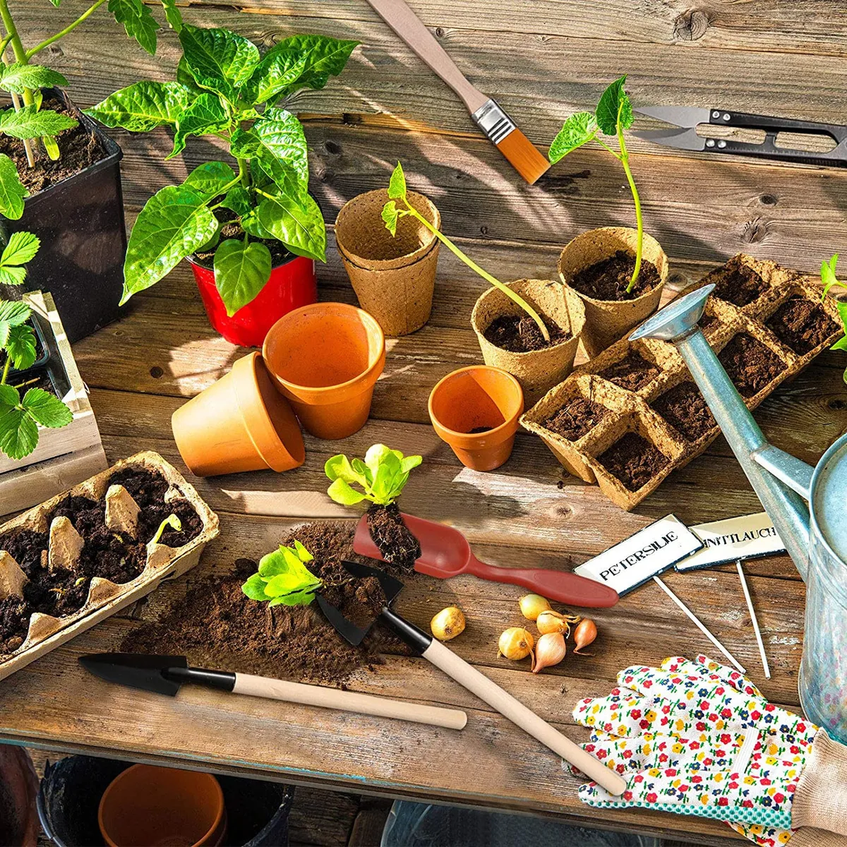 Kit Ferramentas Mini Para Jardinagem Suculenta Cactos Bonsai