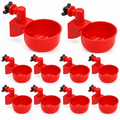 10 Peças Bebedor Automático Copo Copinho Frango Aves Galinhas
