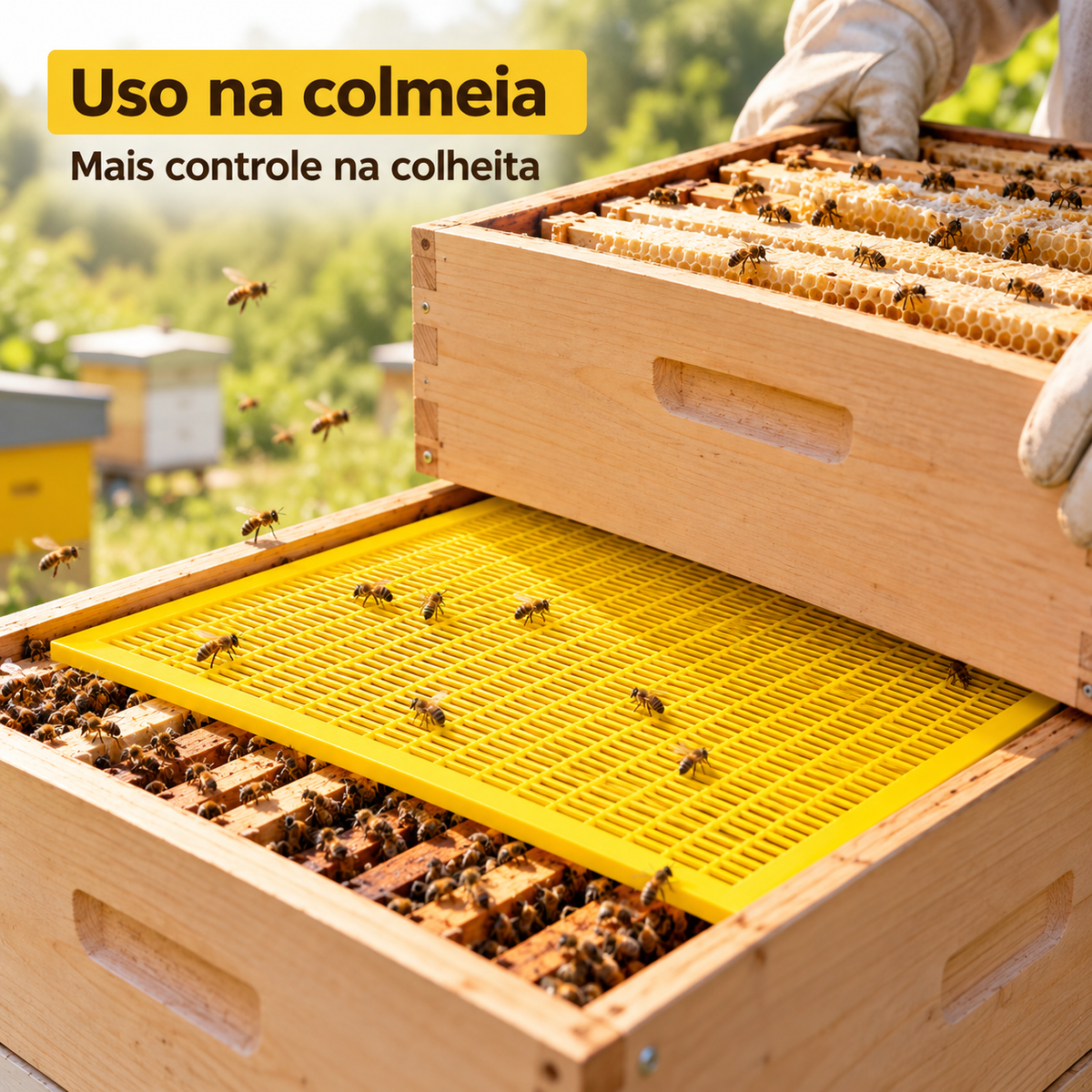 Kit 5 Un Tela Excluidora Abelha Rainha Colmeia Apicultura