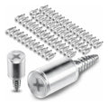 Kit 60un Parafusos Para Móveis Prateleiras Suporte Com Capa