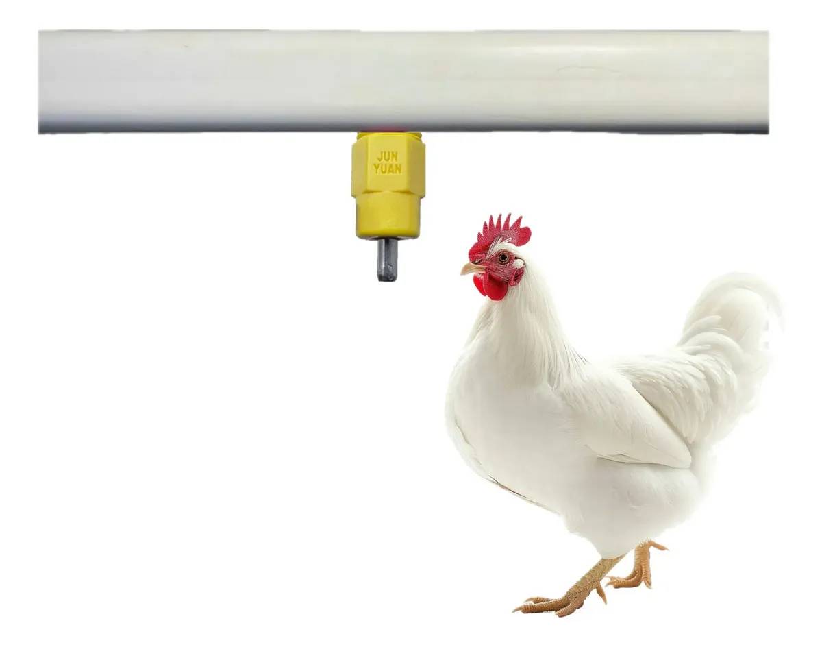 10 Unid Bebedouro Automático Tipo Niple Amarelo Para Aves